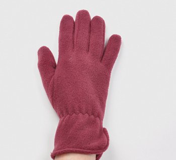 Winter gloves 4PF-351C