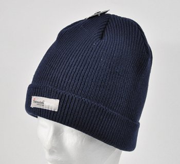 Thinsulate winter hat 160971HC