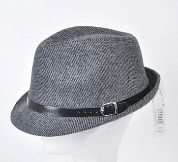 Men's hat 181700HH gray 60