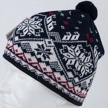 Men's winter hat 105