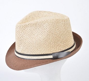 men's summer hat 15025 brown 61